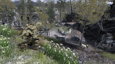 Camouflage!