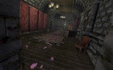 Amnesia-Castle