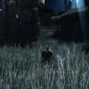 Dark Souls II Launch Trailer Released