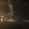 New trailer for The Forest released