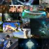 20 Games we’re looking forward to in 2014