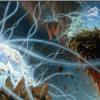 Kickstarter Campaign For RPG Shiness Rolls Out