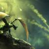 New Dragon Age III: Inquisition screenshots