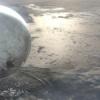 Bungie responds to ‘One destination per planet’ concerns in Destiny