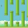 Flappy Birds creator explains why he took the game down.