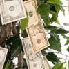 Opinion – Let’s talk about Kickstarter.