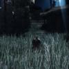 Dark Souls II Launch Trailer Released
