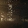 New trailer for The Forest released