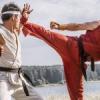 Street Fighter: Assassin’s Fist Review