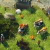 Divinity: Original Sin – Collector’s Edition Detailed