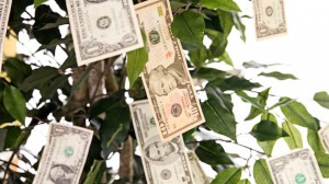 Money_on_trees