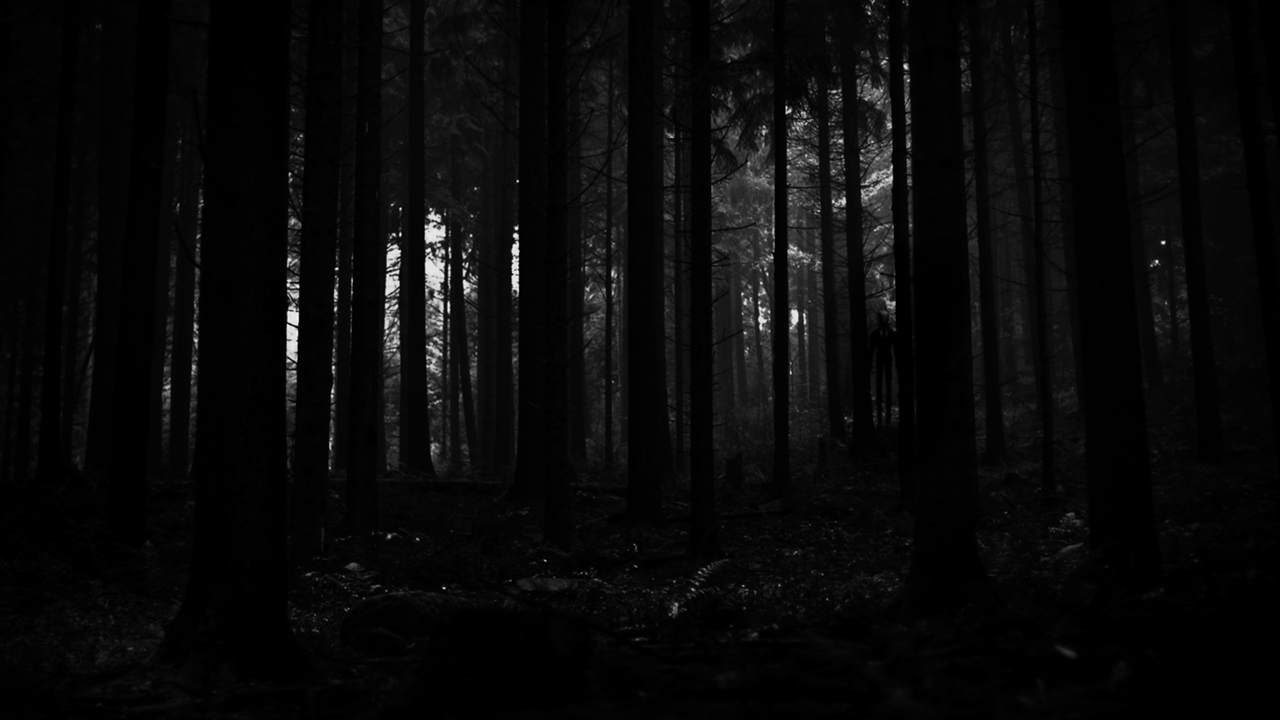 Slender 4