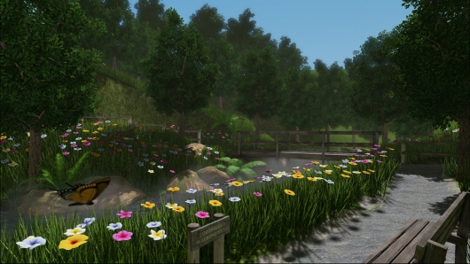 The Forest Project