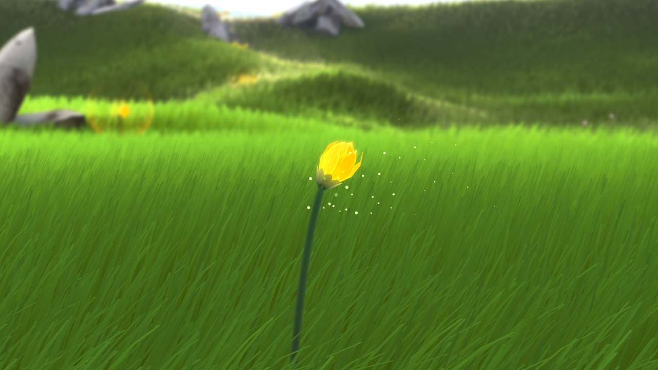 Flower 06