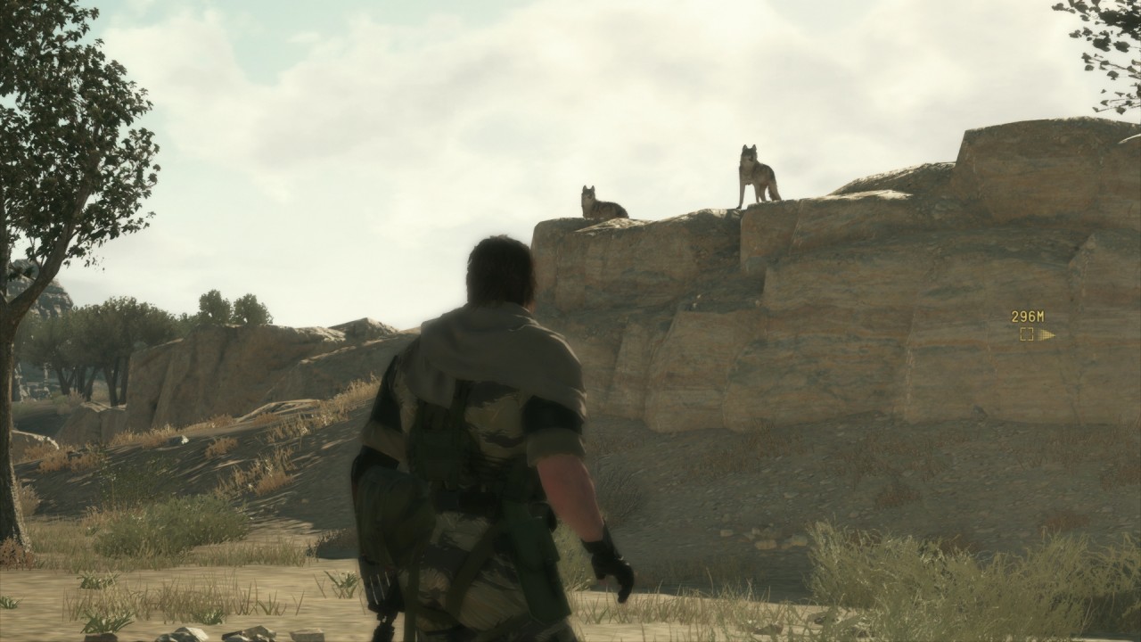 mgstpp_gc_14