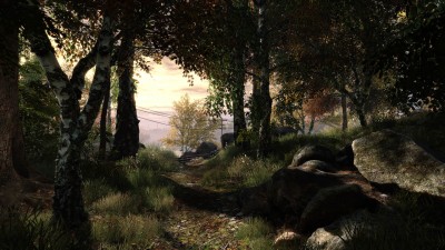 The_Vanishing_of_Ethan_Carter_05