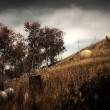 Slender: The Arrival Screenshot