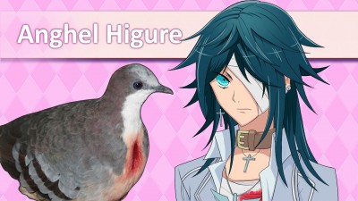 Bonus Round: Hatoful Boyfriend Review