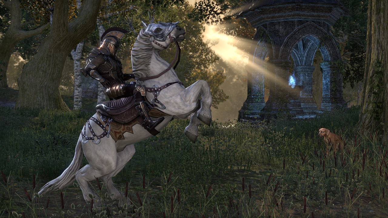 Elder Scrolls Online drops subscription with latest patch