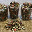 Fallout_4_Bottle_caps_01