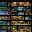 Fallout Shelter Review