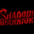 Shadow Warrior 2 Announced